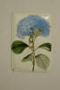 Thumbnail -light switch detail 