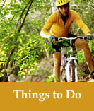 Mountain biker