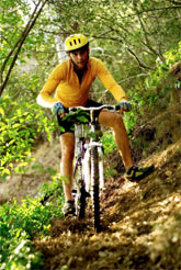 mountain biker